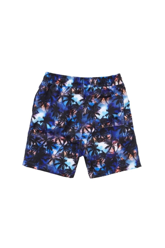 H2O H2O Men's Palm Print Swim Board Shorts in Black - 2