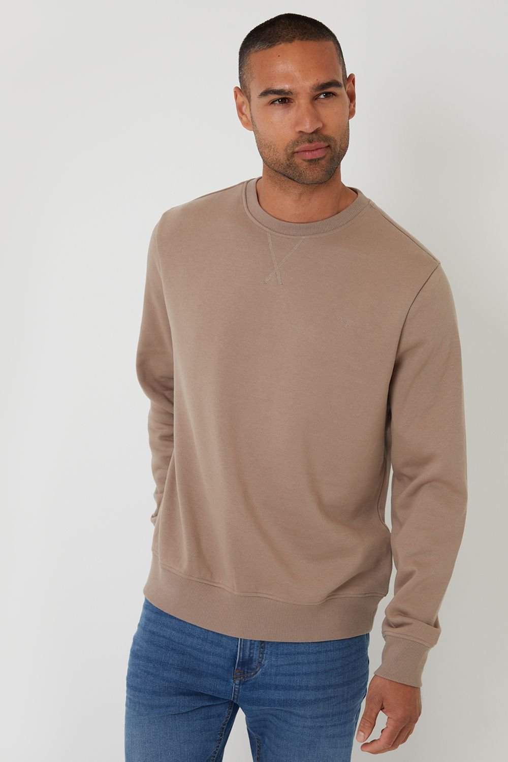 Threadbare Threadbare Men's Cotton Blend Crew Neck Sweatshirt in Taupe - 3