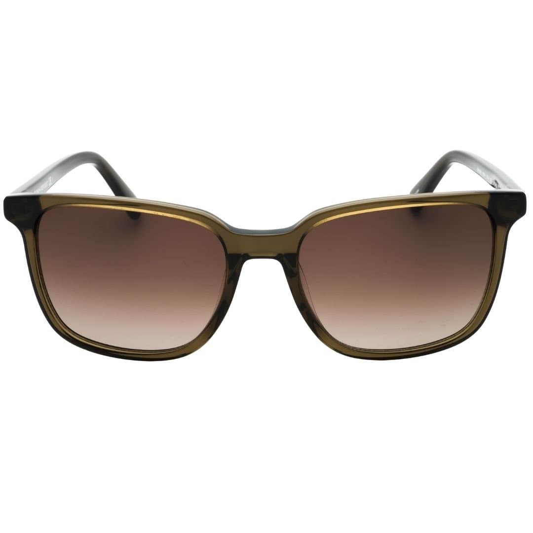 Banana Republic Banana Republic Men's Brown SF Lensed Green Sunglasses
