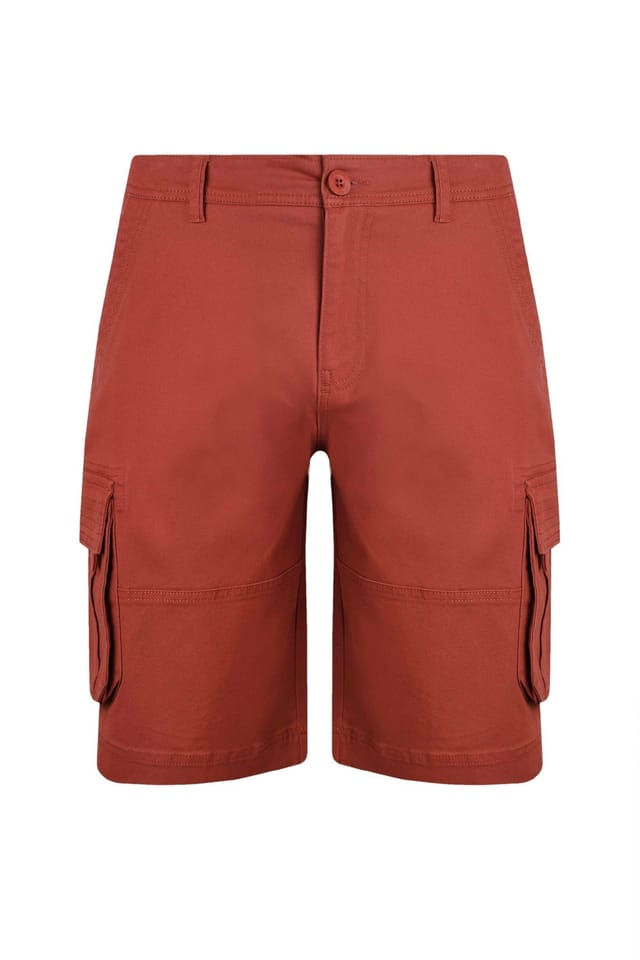 Weird Fish Weird Fish Men's Rigney Cargo Shorts in Orange - 2