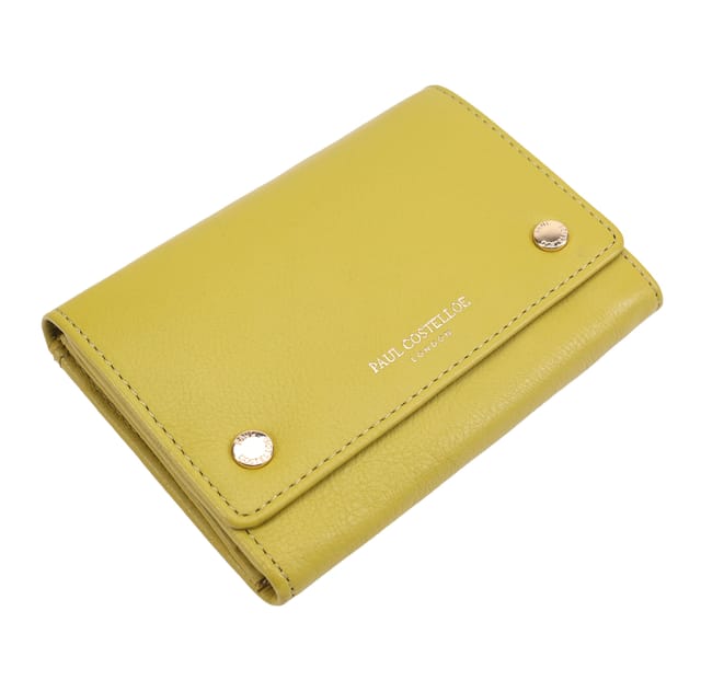 Paul Costelloe Paul Costelloe Women's Zaan Purse in Green - 2
