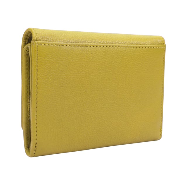 Paul Costelloe Paul Costelloe Women's Zaan Purse in Green - 3