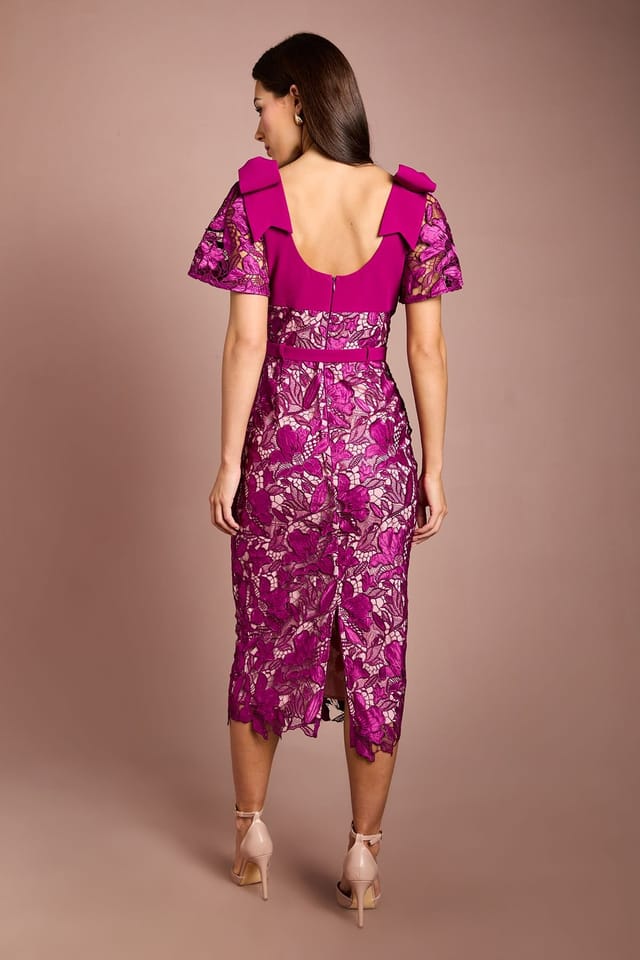 Coast Coast Women's Lace Bow Shoulder Pencil Midi Dress in Magenta - 3