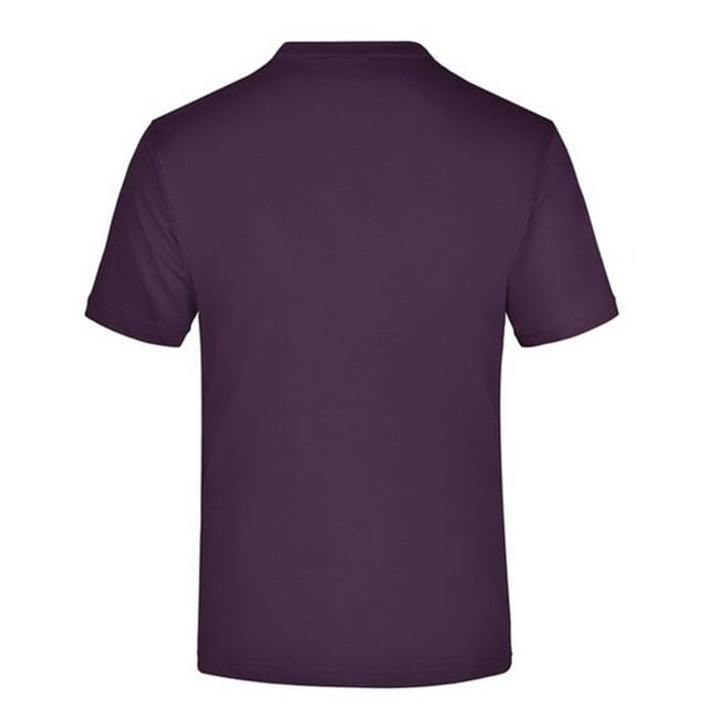 James and Nicholson James and Nicholson Men's Medium Round Neck T-Shirt in Aubergine - 2