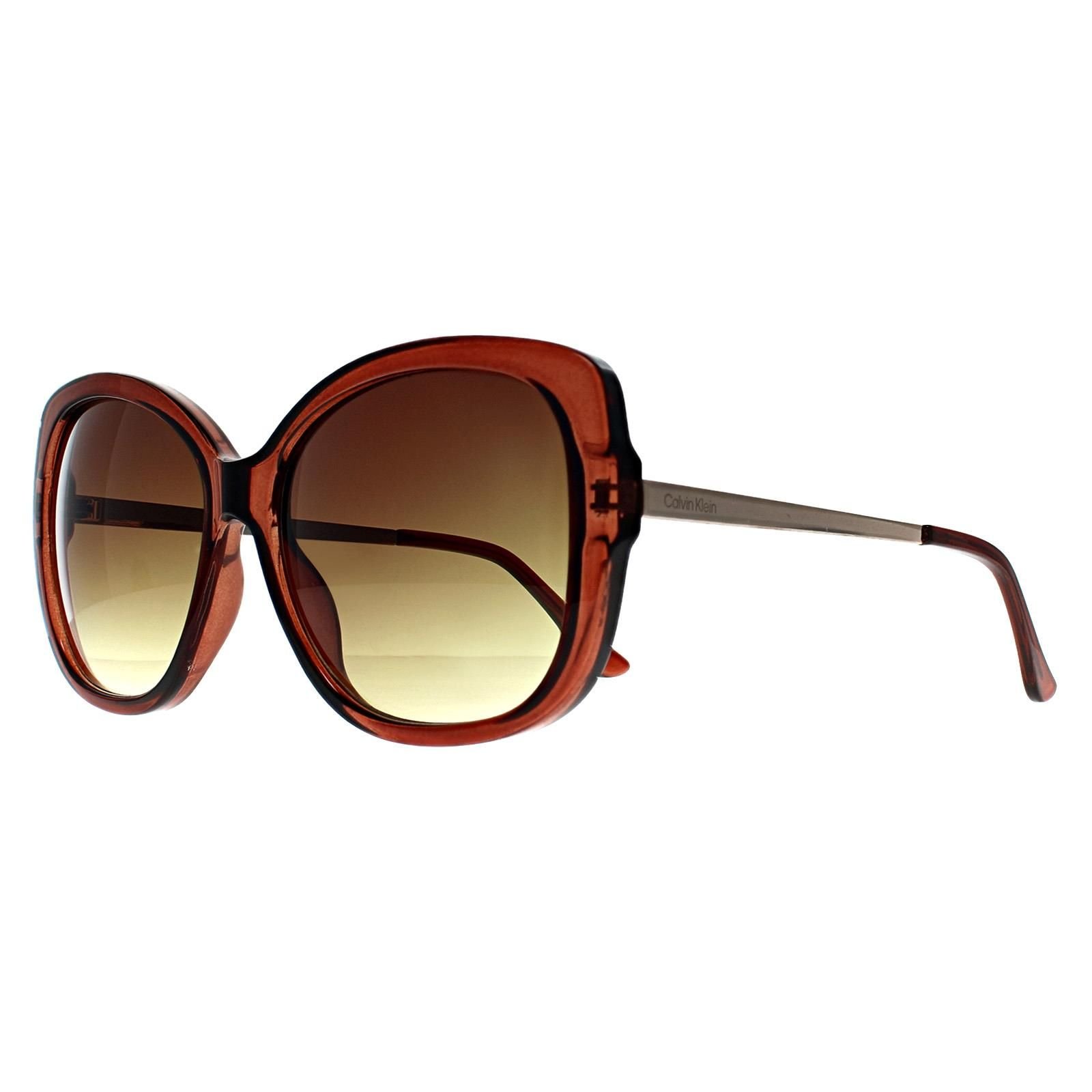 Calvin Klein CALVIN KLEIN Women's Butterfly Transparent Brown Brown Gradient CK22548S - 2