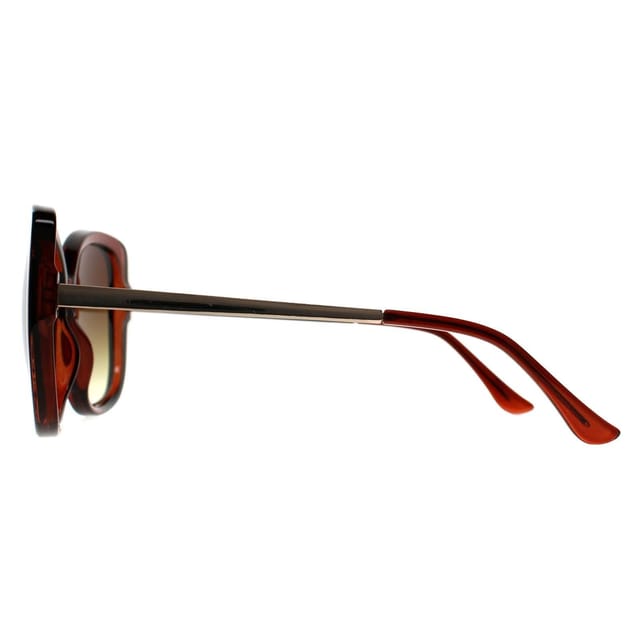Calvin Klein CALVIN KLEIN Women's Butterfly Transparent Brown Brown Gradient CK22548S - 3