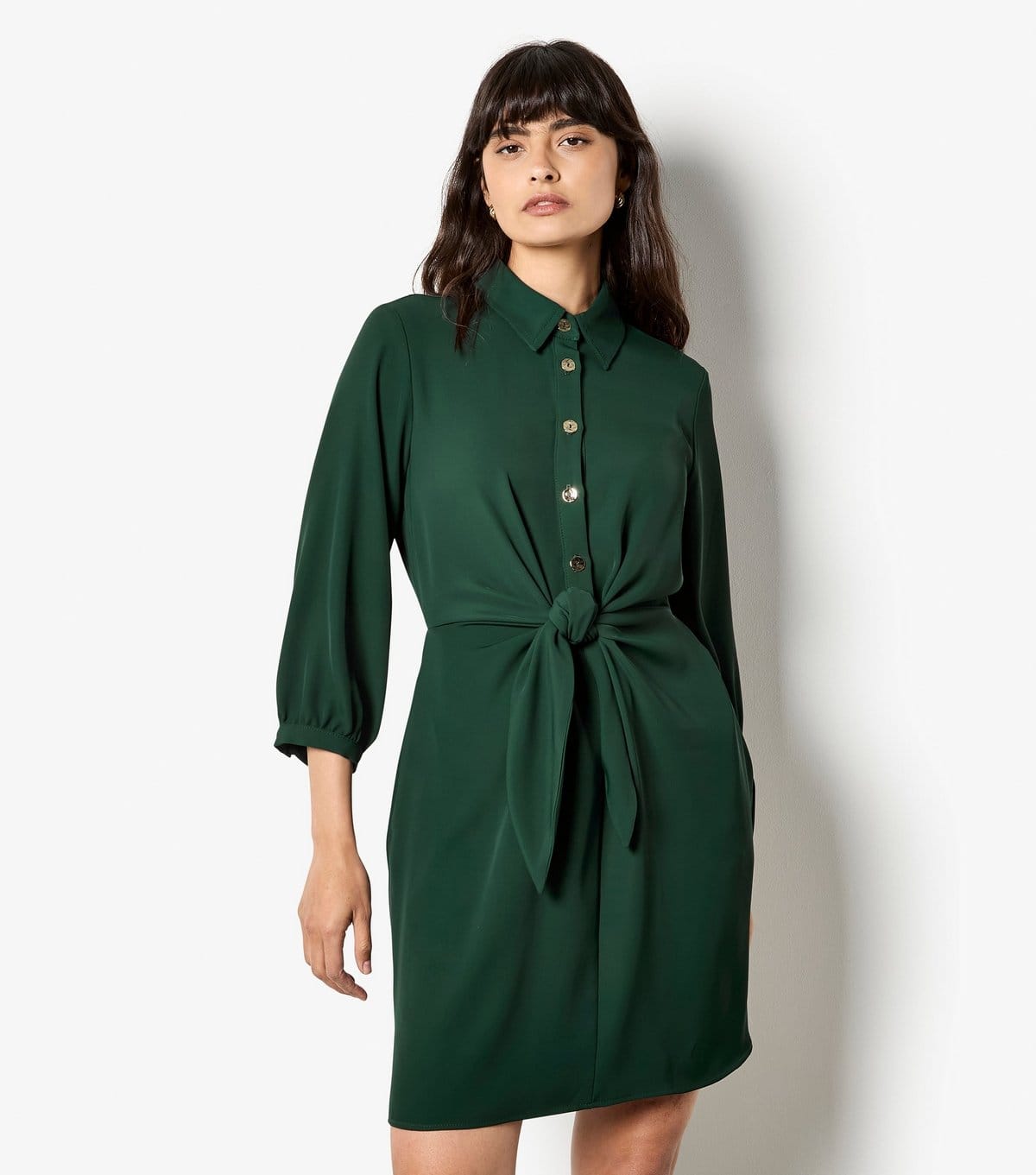 Apricot Dark Green Woven Tie-Front Dress