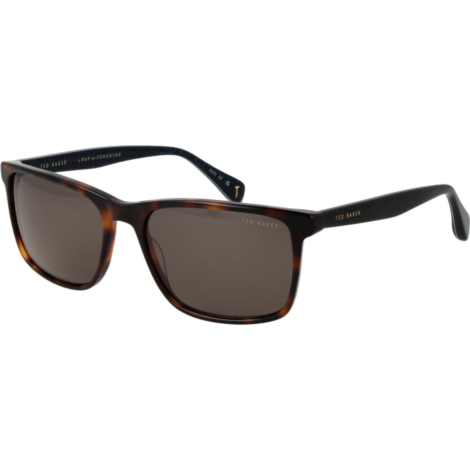 Ted Baker Ted Baker Men's TB1728 58104 Square/Rectangle Sunglasses in Brown