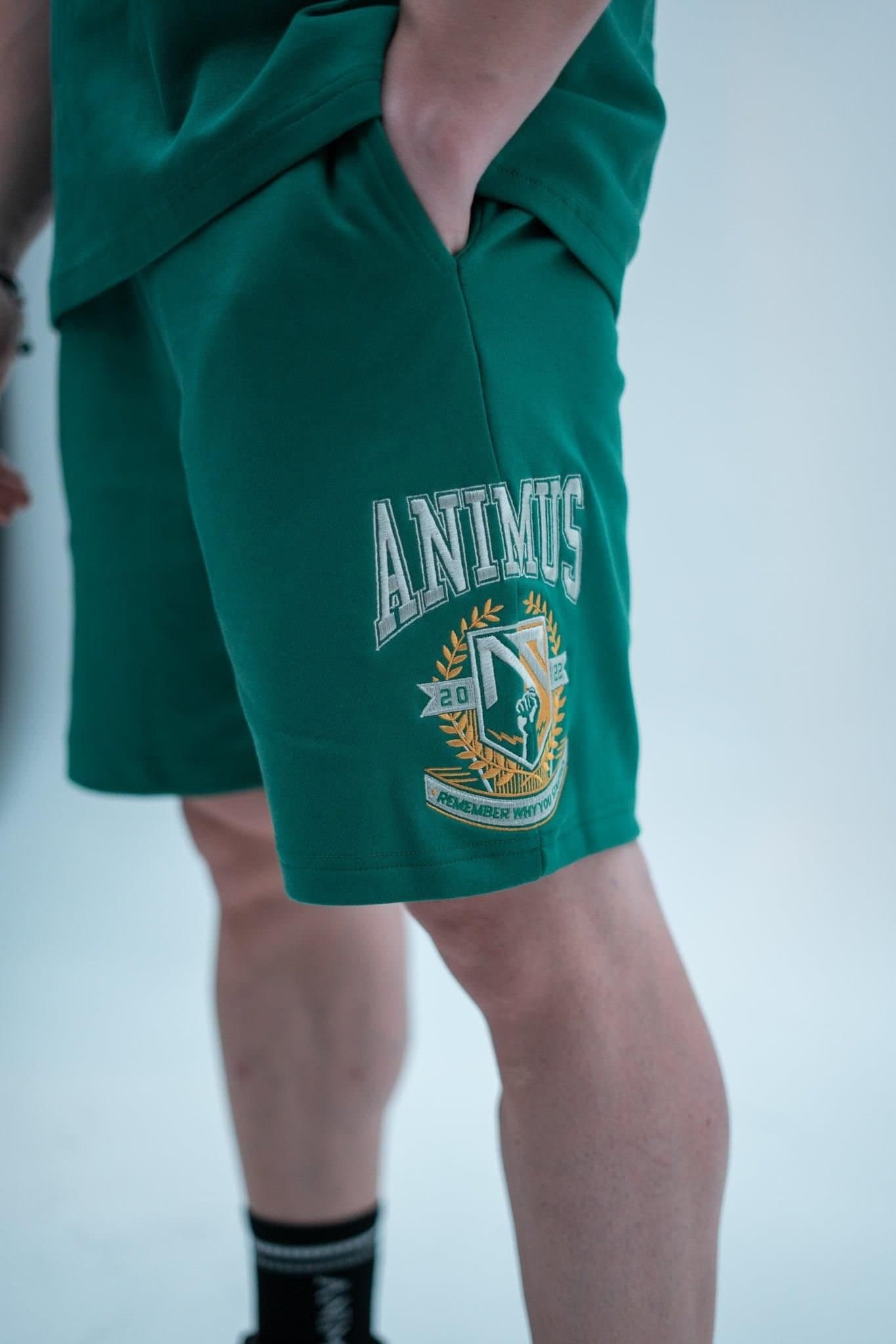 Animus Animus Men's Momentum Varsity Shorts in Bottle Green