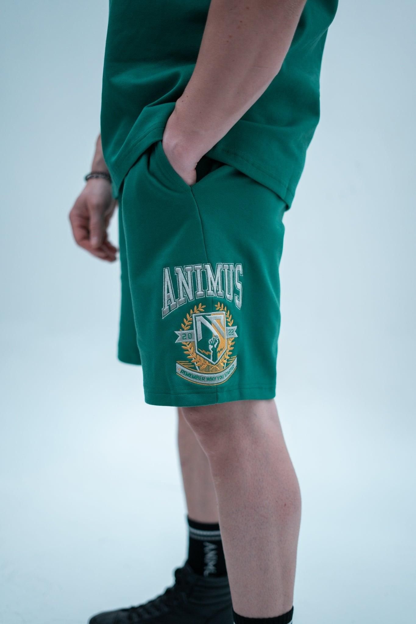 Animus Animus Men's Momentum Varsity Shorts in Bottle Green - 2