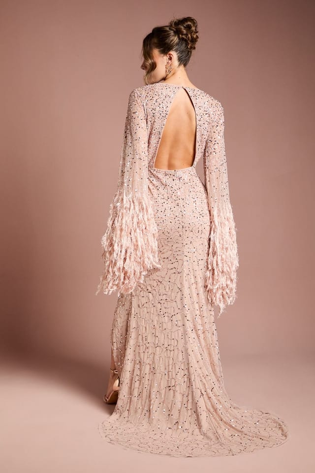 Coast Coast Women's Sequin Embellished Feather Trim Black Tie Maxi Dress in Blush - 3