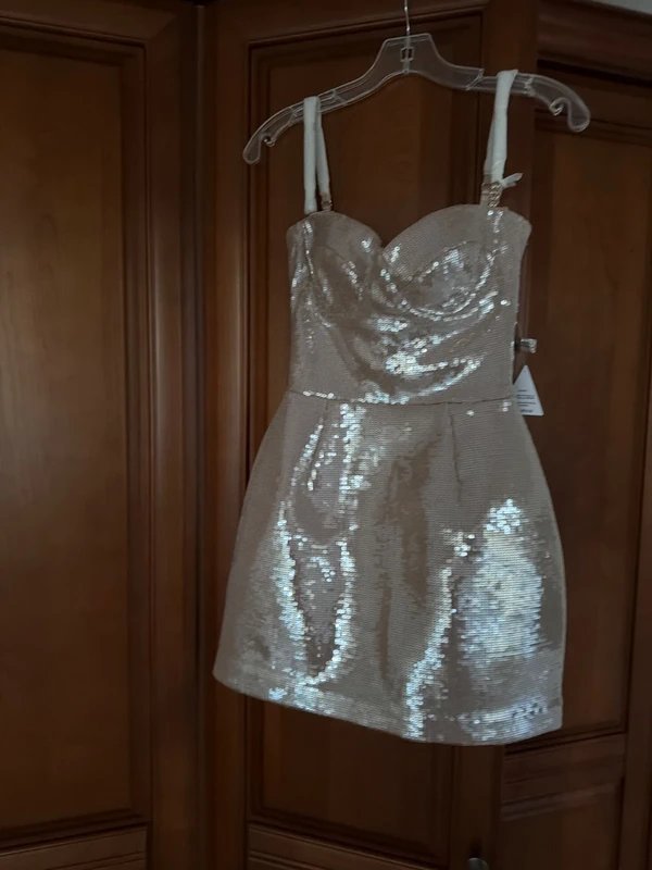 Nadine Merabi Nadine Merabi LeytonChampagne Evening, Cocktail, Party Sequin Dress XS RRP £395 - 1