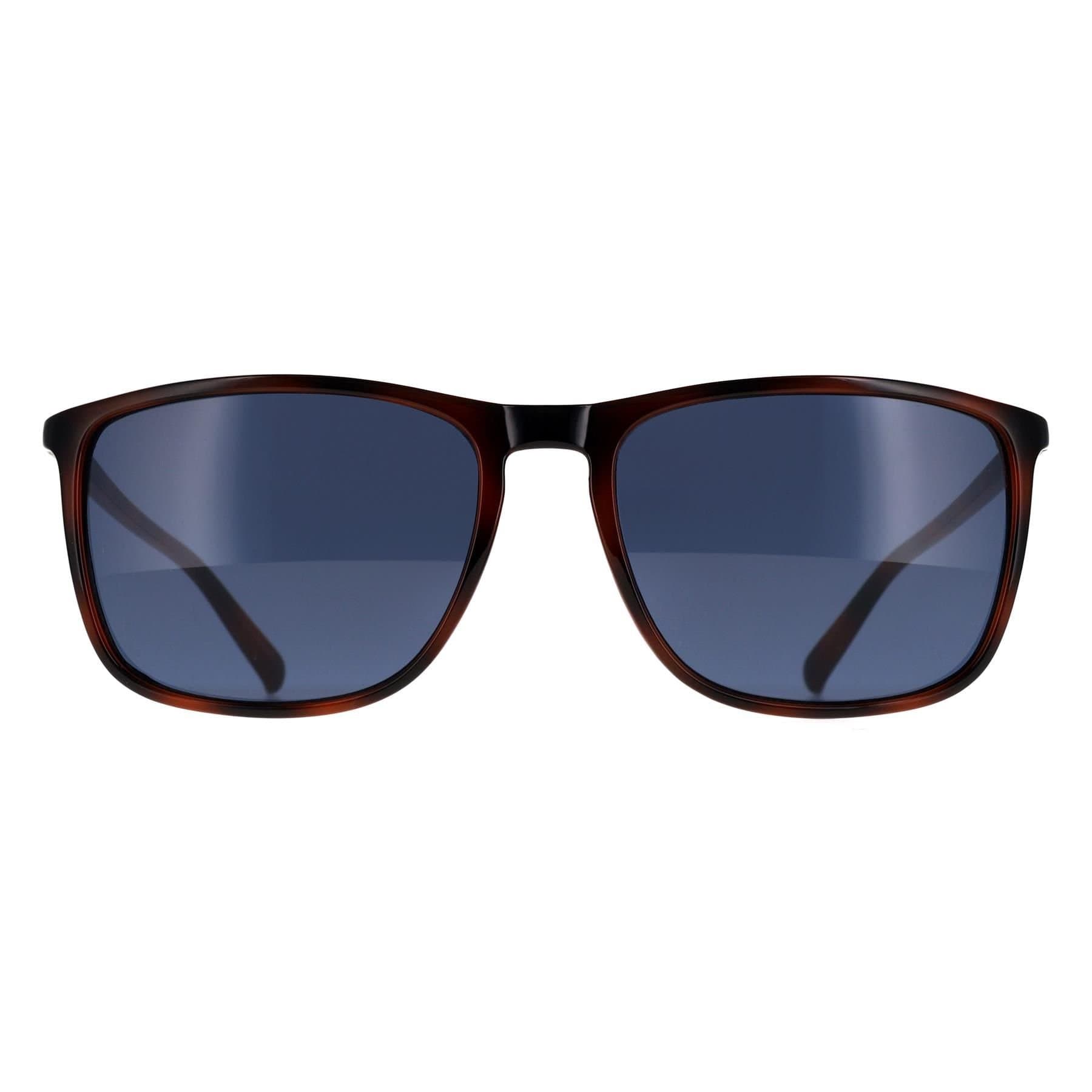 Calvin Klein CALVIN KLEIN Men's Rectangle Havana Blue CK20524SN in Brown