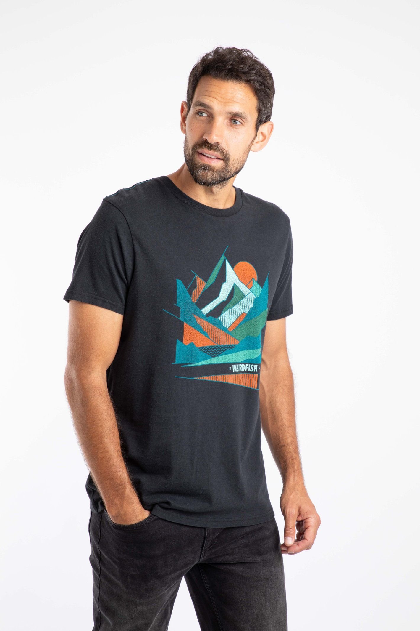 Weird Fish Weird Fish Men's Aspect Mountains Front Print Graphic T-Shirt in Black - 4