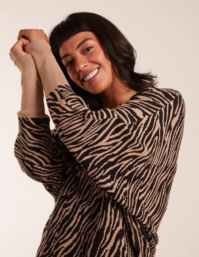 Blue Vanilla Zebra V-Neck Jumper - 2