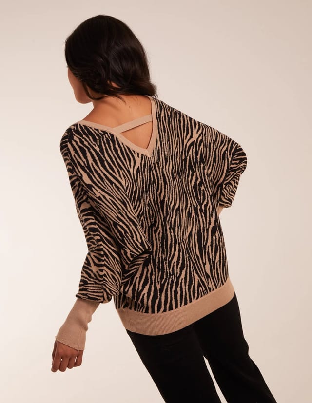 Blue Vanilla Zebra V-Neck Jumper - 3