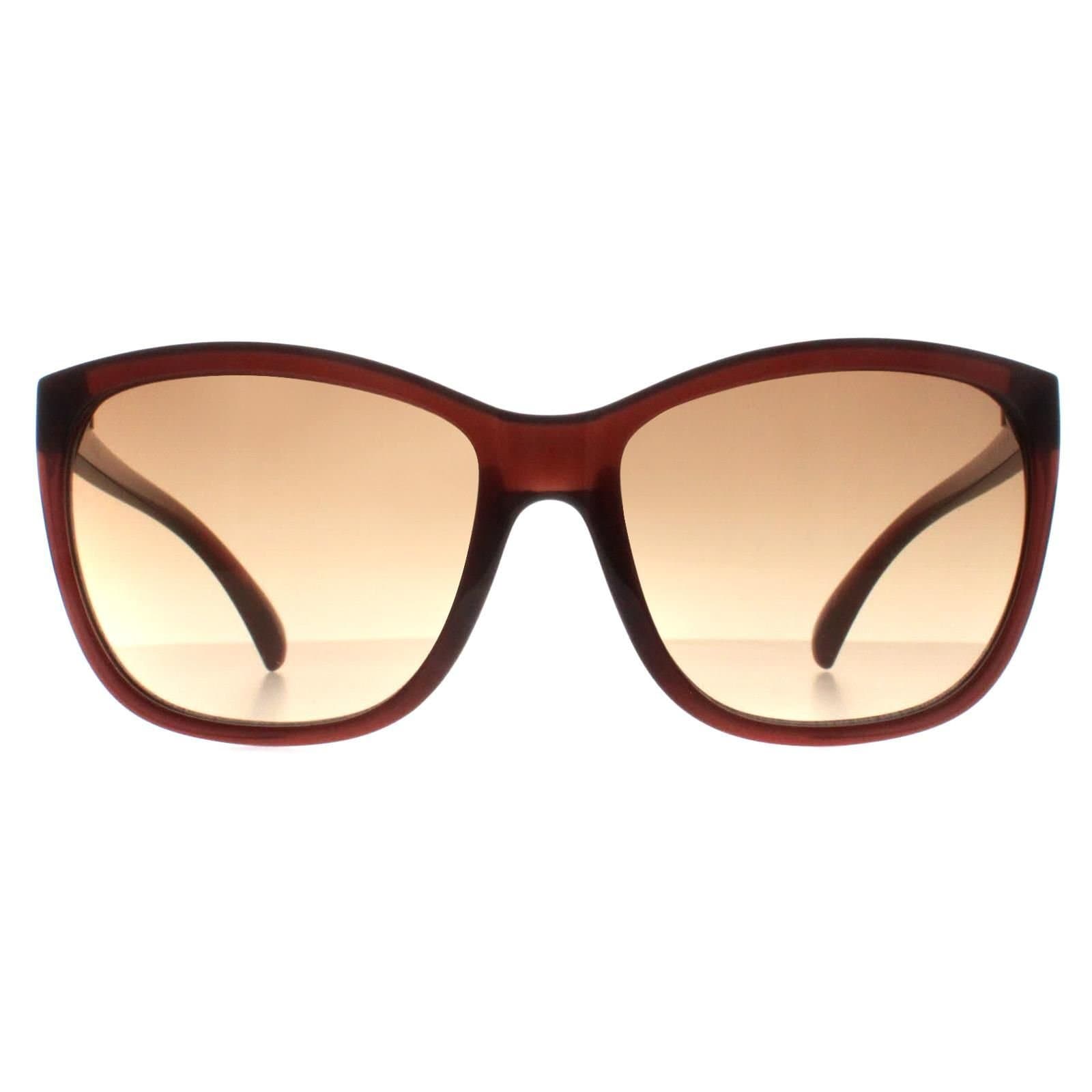 Calvin Klein CALVIN KLEIN Women's Cat Eye Milky Brown Brown Gradient CK19565S