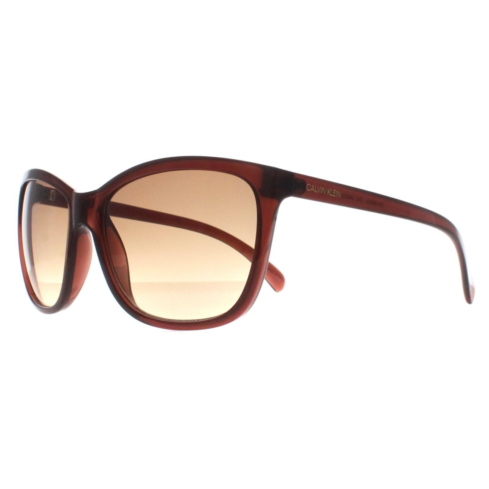 Calvin Klein CALVIN KLEIN Women's Cat Eye Milky Brown Brown Gradient CK19565S - 2