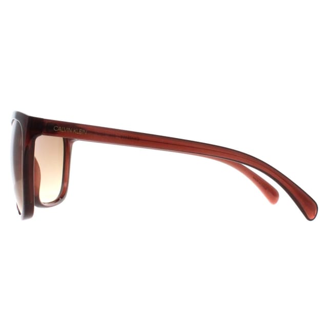 Calvin Klein CALVIN KLEIN Women's Cat Eye Milky Brown Brown Gradient CK19565S - 3