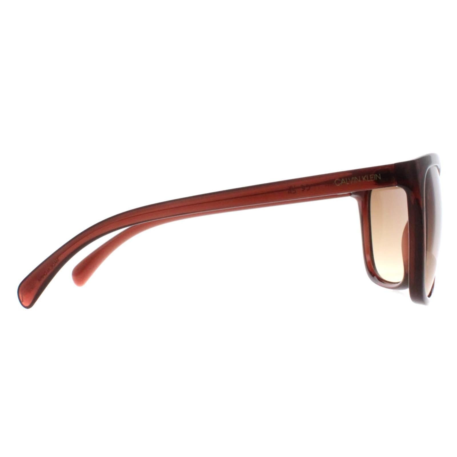 Calvin Klein CALVIN KLEIN Women's Cat Eye Milky Brown Brown Gradient CK19565S - 4