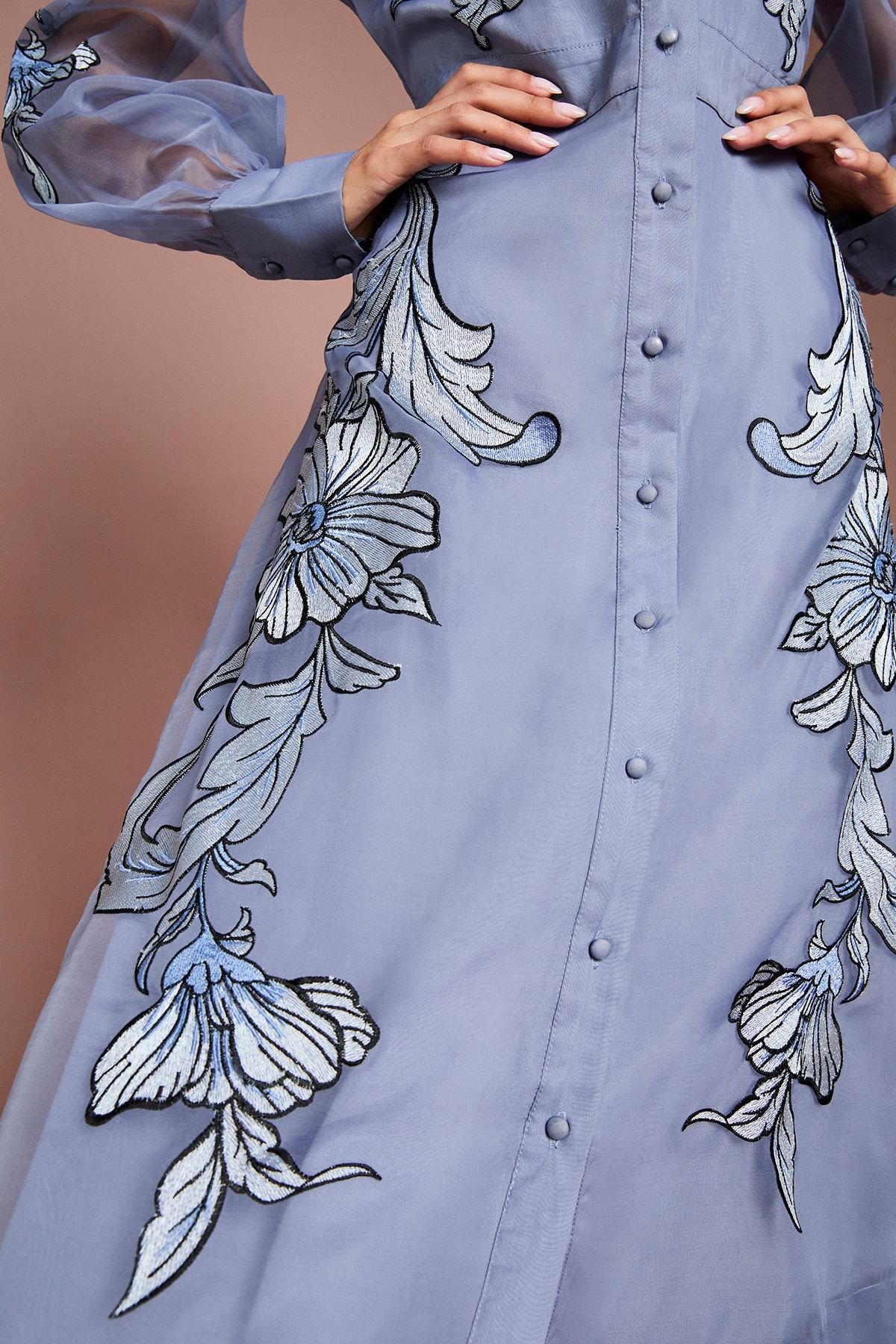 Coast Coast Women's Placement Embroidered Long Sleeve Midi Dress in Blue - 4