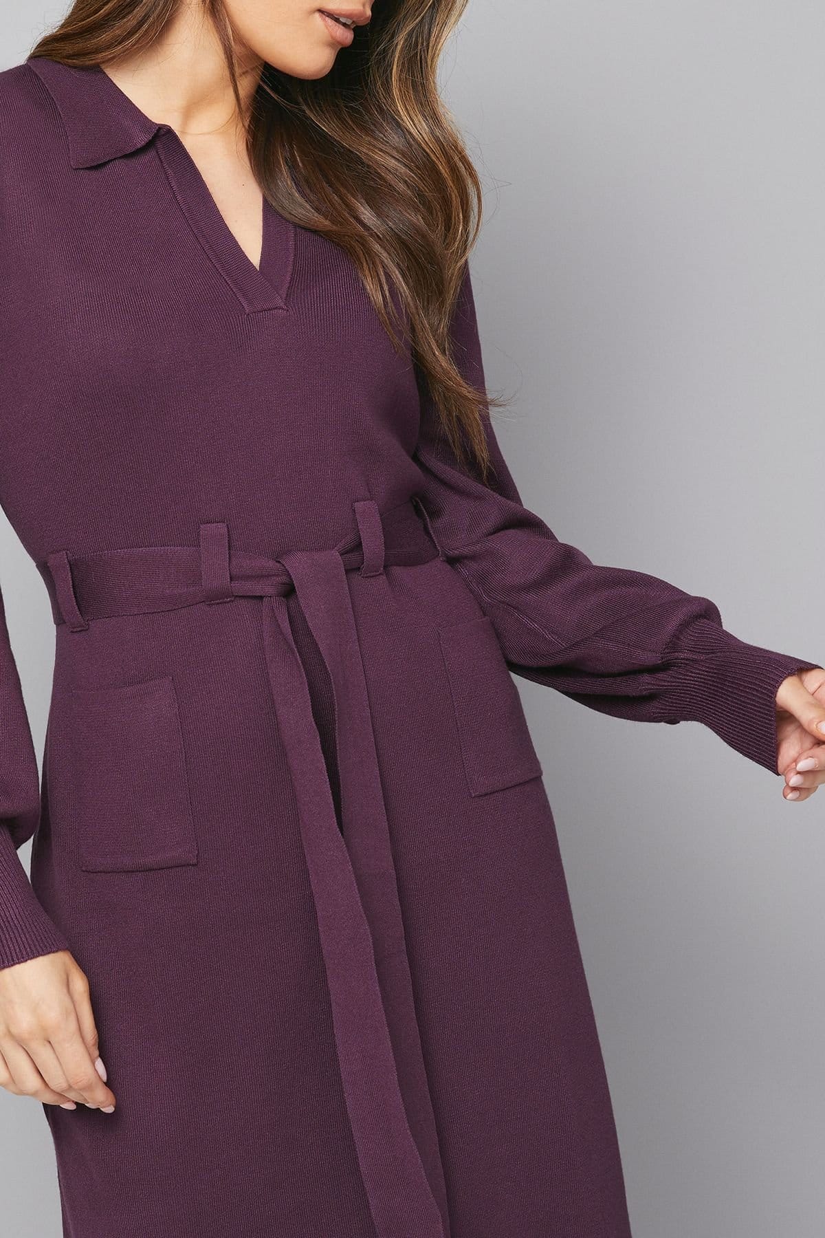 Wallis Wallis Women's Collared Belted Midi Dress in Aubergine - 4