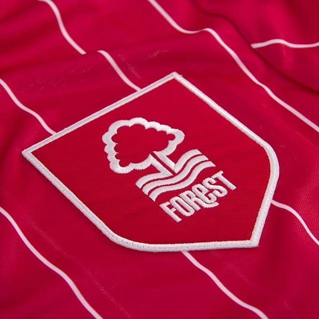 Nottingham Forest Nottingham Forest Men's Personalised Retro 1992 1993 Football Shirt in Red - 2