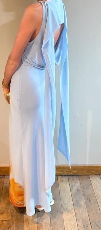 Never Fully Dressed *sold out* Never Fully Dressed Blue Floral Backless Maxi Dress