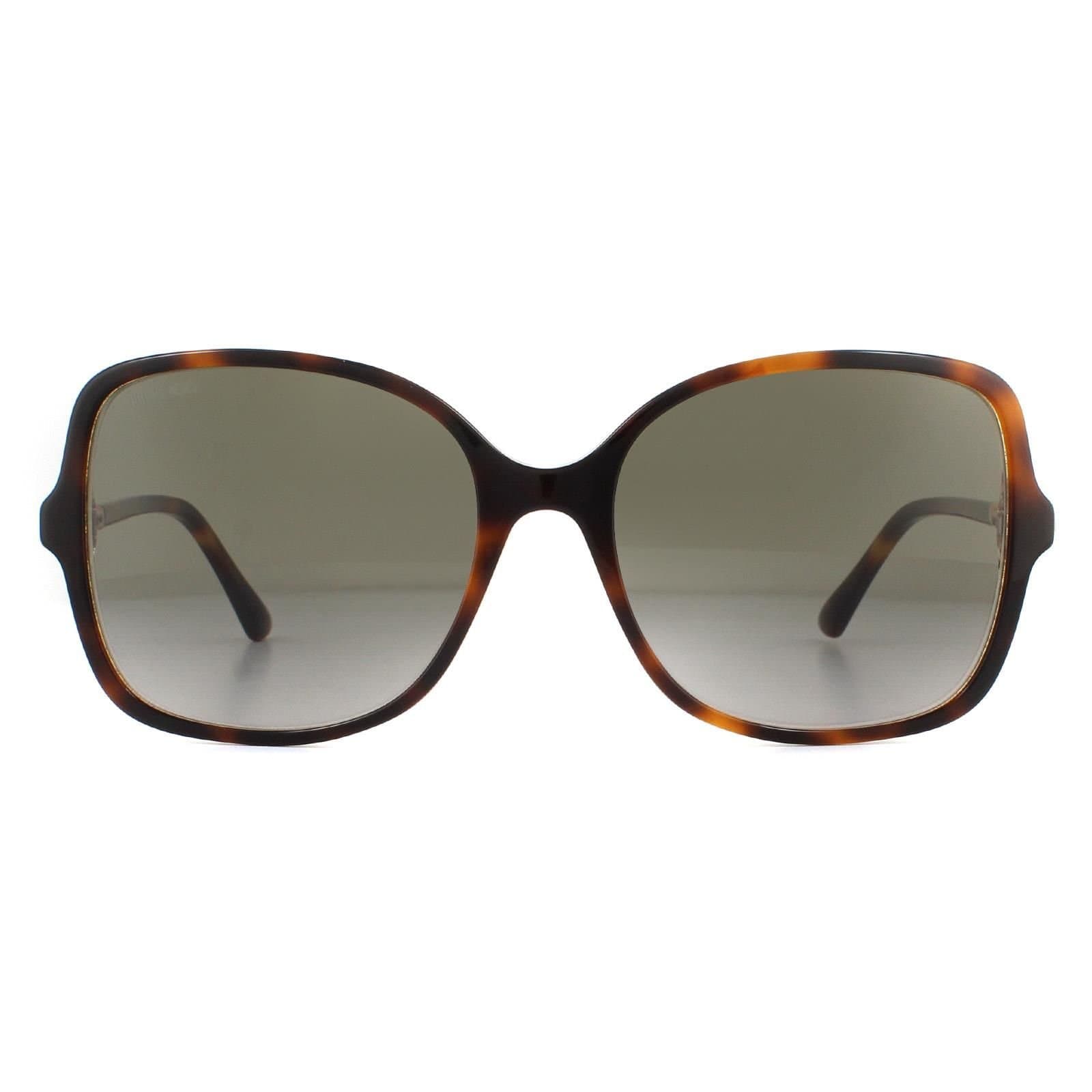 Jimmy Choo Jimmy Choo Women's Fashion Havana Pink Brown Gradient Sunglasses