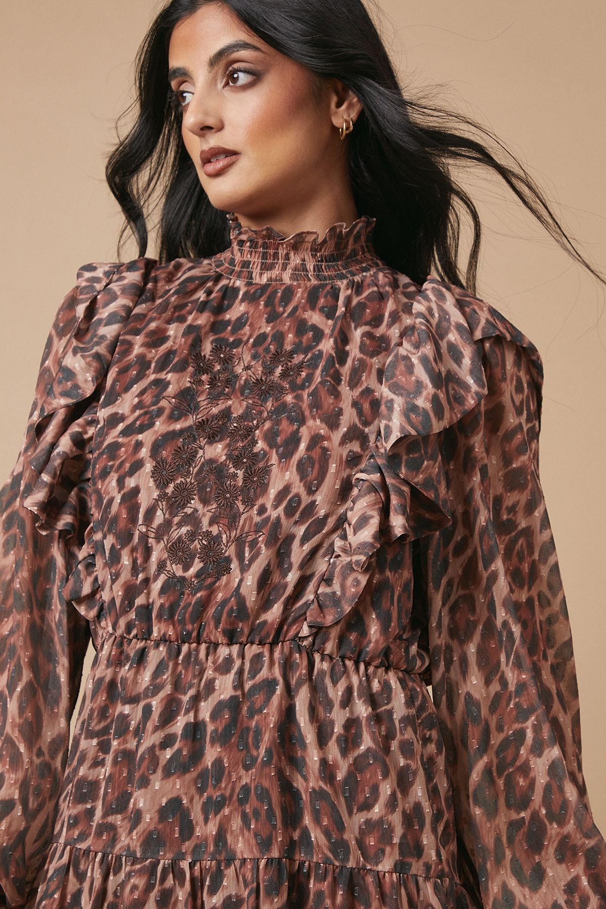 Oasis Oasis Women's Animal Print Embroidered Dobby Chiffon Mini Dress in Brown - 3