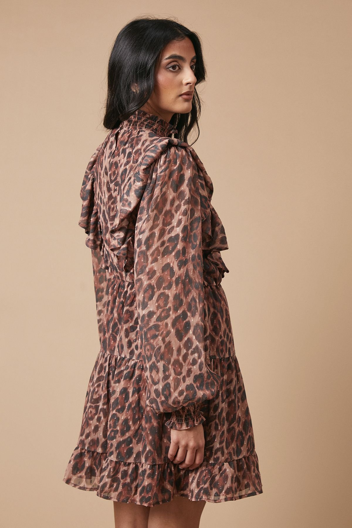 Oasis Oasis Women's Animal Print Embroidered Dobby Chiffon Mini Dress in Brown - 4