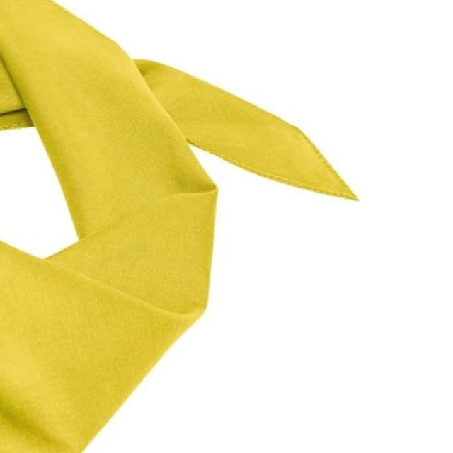 Myrtle Beach Myrtle Beach Men's Triangular Scarf in Yellow - 2