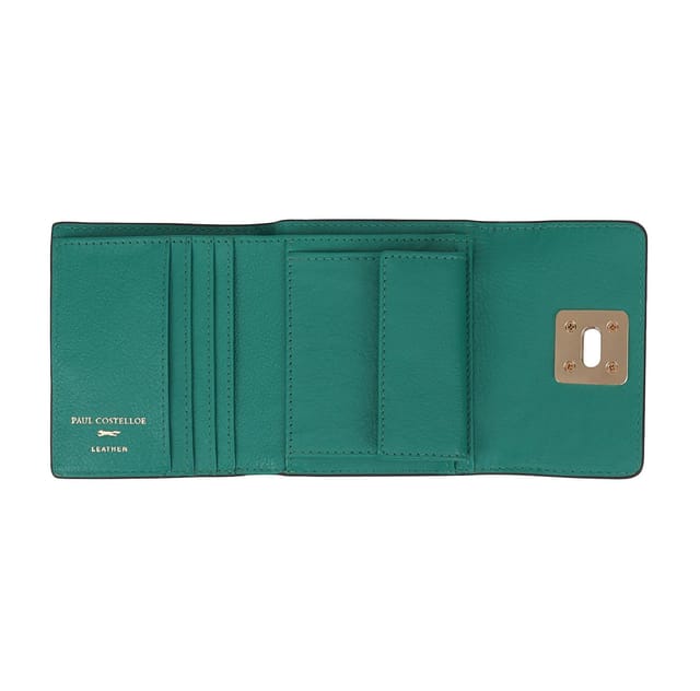 Paul Costelloe Paul Costelloe Women's Baro Leather Purse in Jade - 3