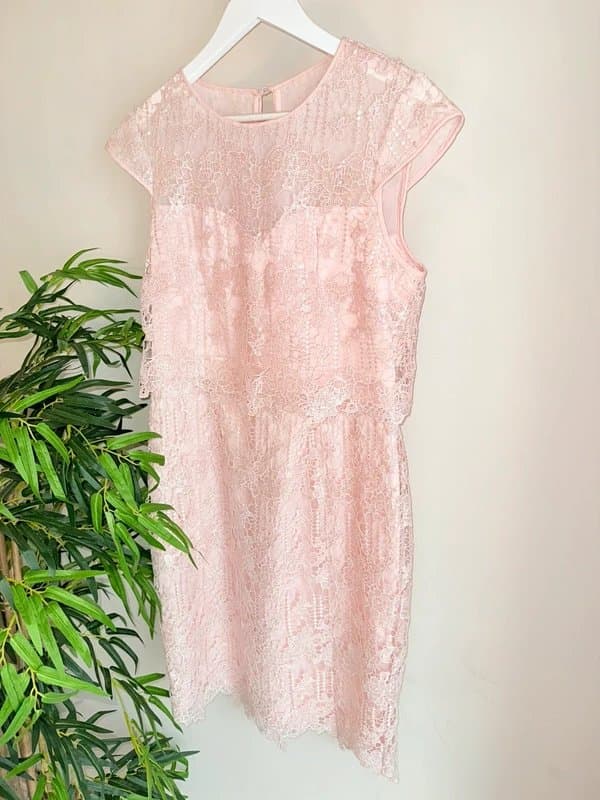 Lipsy Stunning Size 14 LIPSY Baby Pink Sparkly Smart Knee Length Dress Worn Once Floral Lace