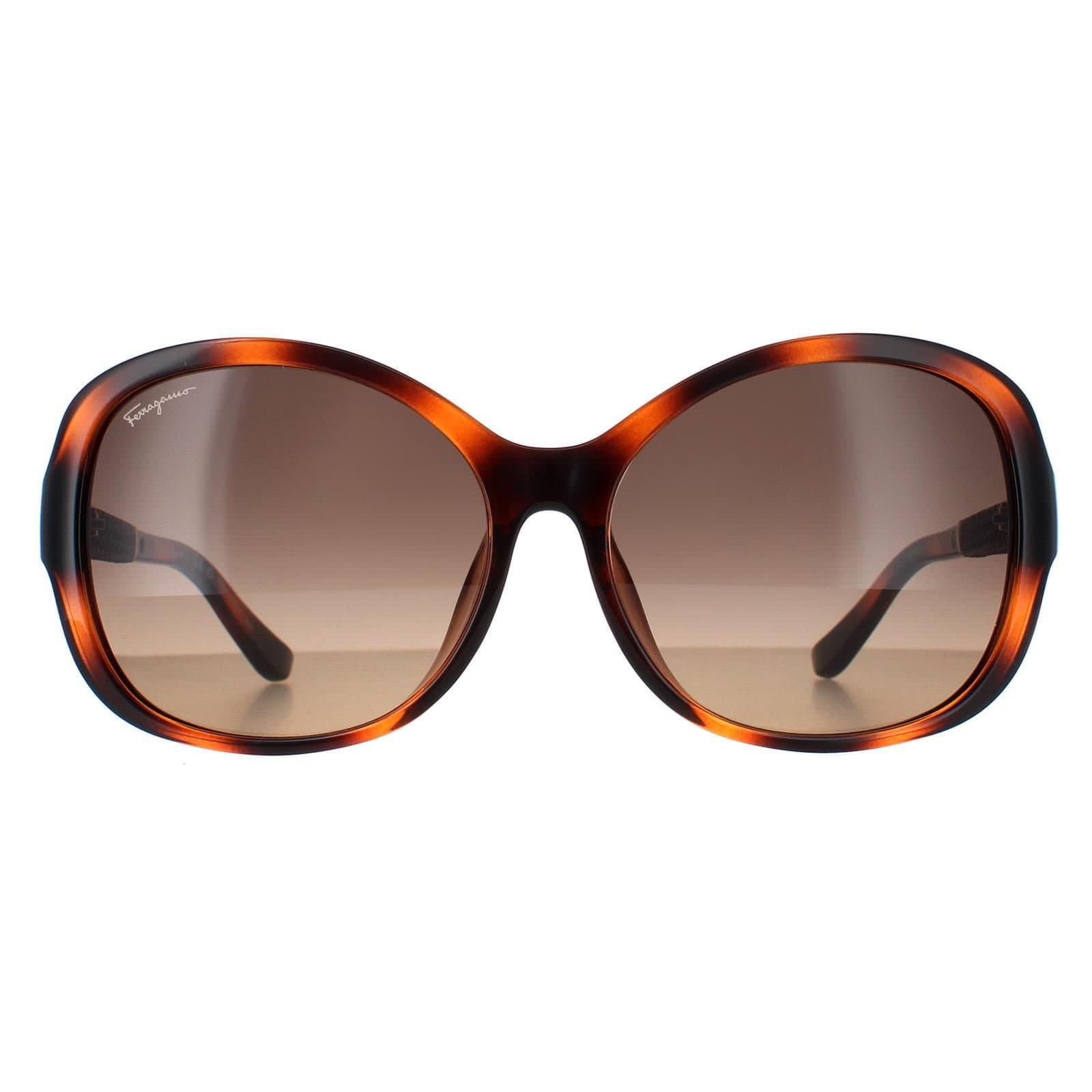 Salvatore Ferragamo Salvatore Ferragamo Women's Butterfly Tortoise Brown Gradient SF744SLA