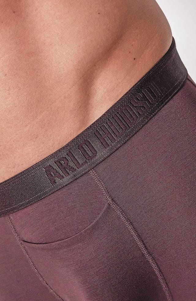 Arlo Hudson Arlo Hudson Men's Plain Tencel™ Boxer in Maroon - 3