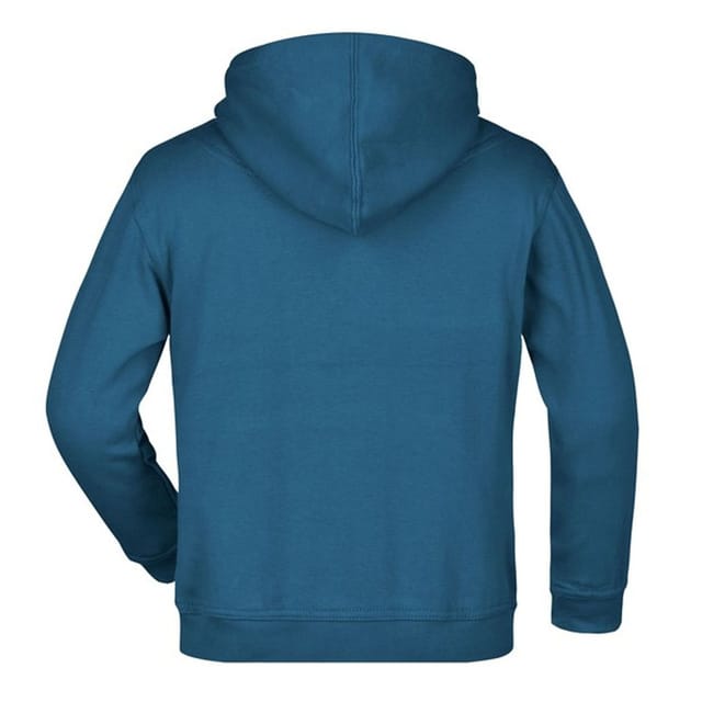 James and Nicholson James and Nicholson Men's Moisture Wicking Hoodie in Duck Egg Blue - 2