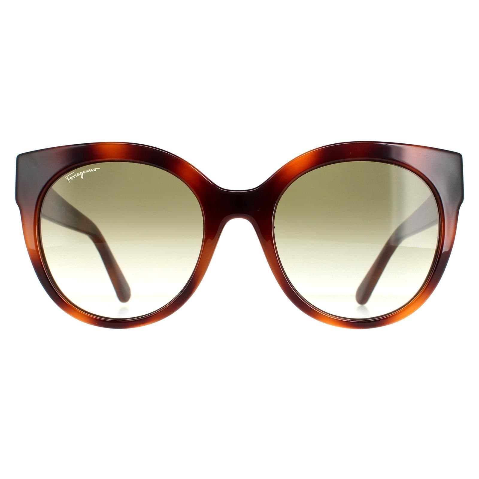 Salvatore Ferragamo Salvatore Ferragamo Women's Cat Eye Tortoise Green SF1031S in Brown