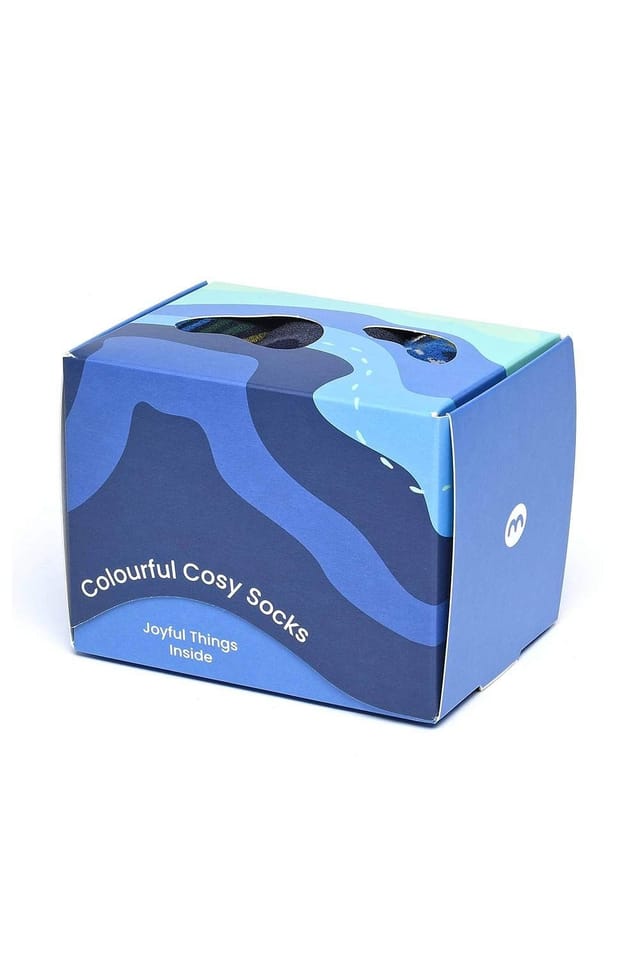 Moshulu Moshulu Men's 'Northam Sock Box' Sock Gift Box in Blue - 3
