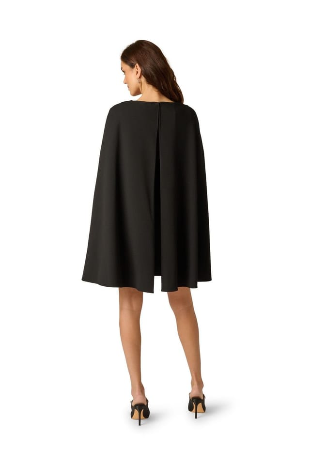 Adrianna Papell Adrianna Papell Women's Structured Cape Sheath in Black - 3
