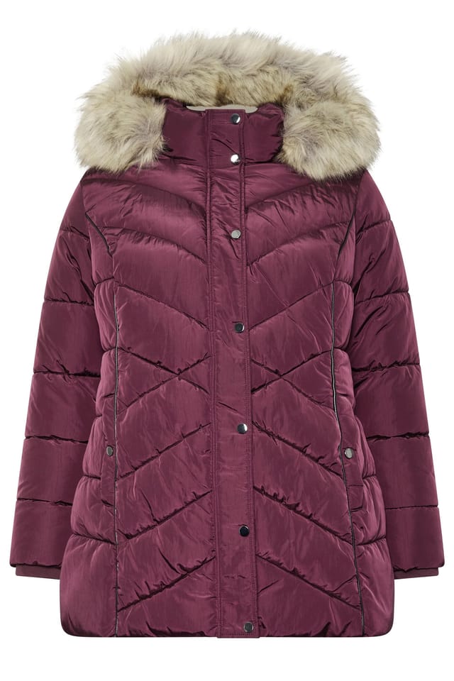 Yours Yours Women's Short Padded Coat in Burgundy - 2