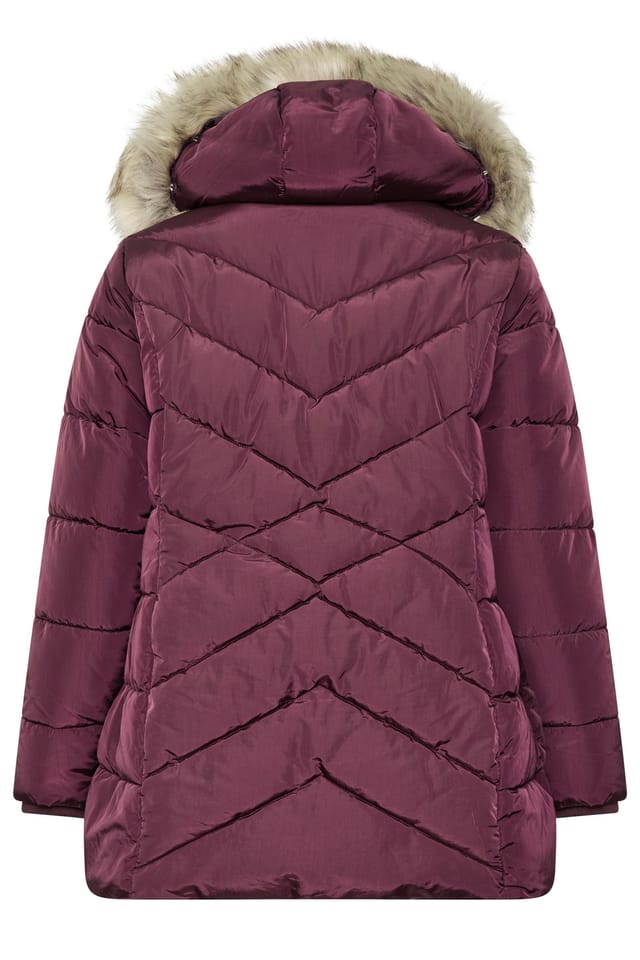Yours Yours Women's Short Padded Coat in Burgundy - 3