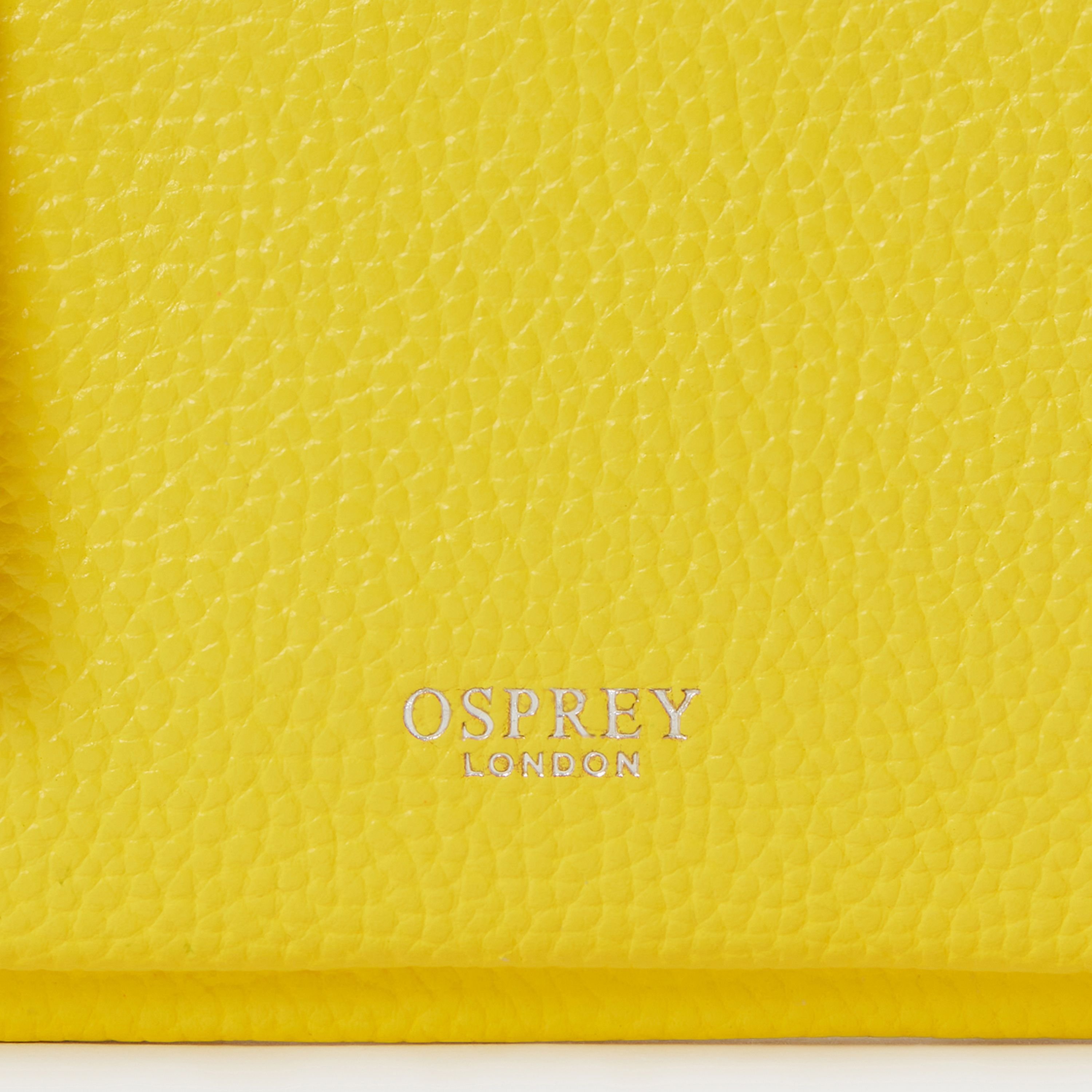 OSPREY LONDON OSPREY LONDON Women's The Ruby Leather Crossbody Clutch Bag in Yellow - 4
