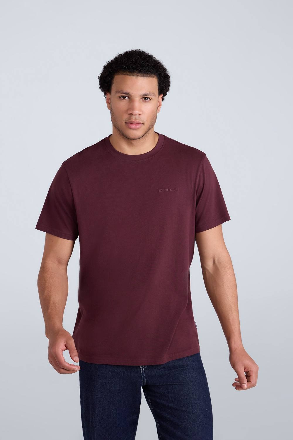 Animal Animal Men's 'Icon' Logo Print Lightweight Cotton Relaxed Fit Casual T-Shirt in Burgundy - 2