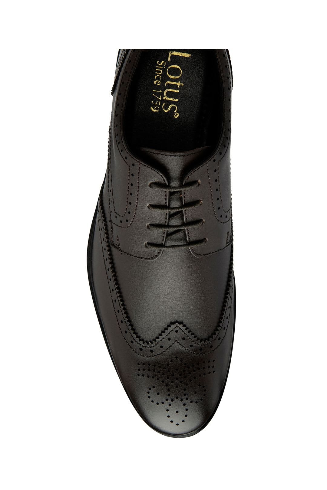 Lotus Lotus Men's Chocolate Brown 'Skipton' Leather Brogues - 4