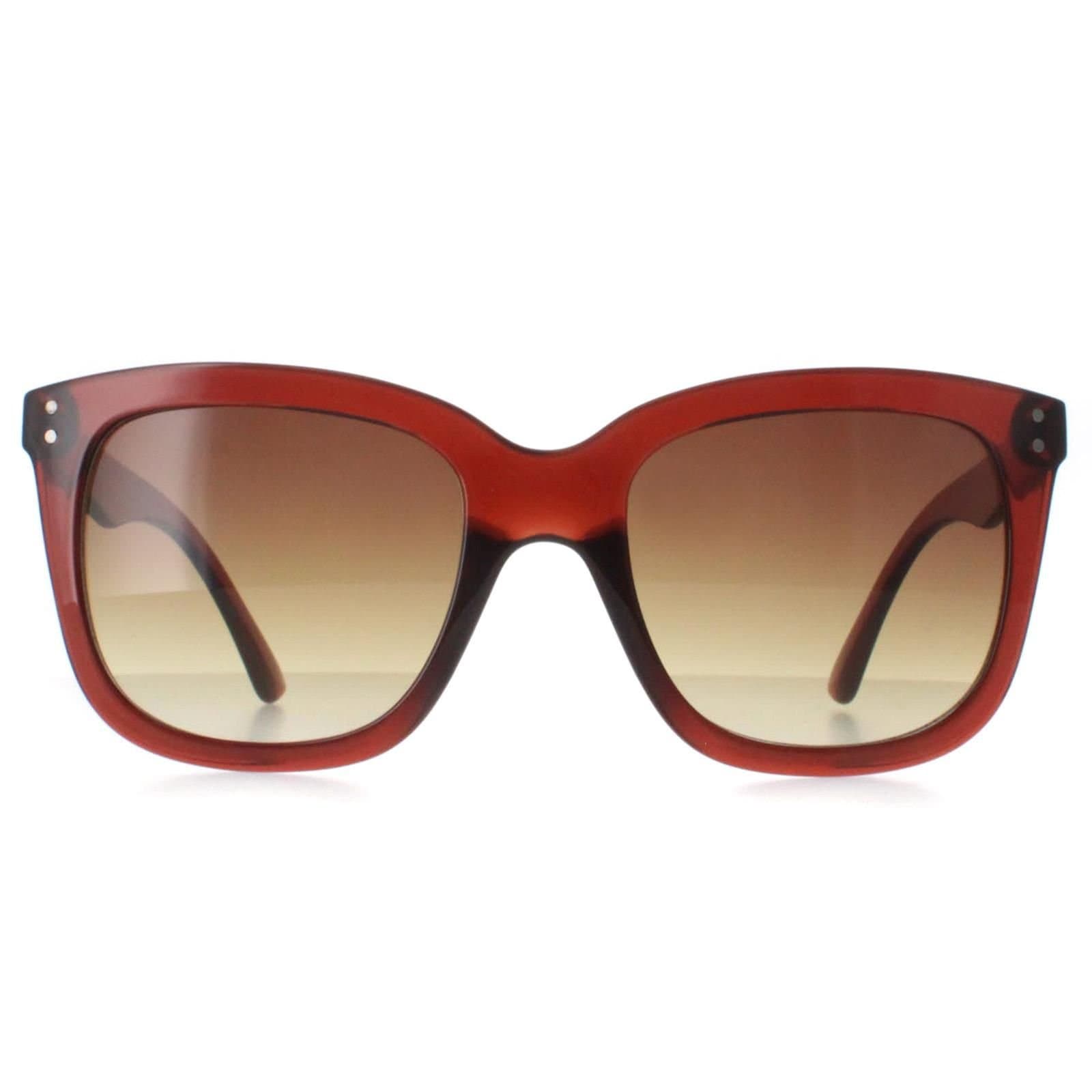 Calvin Klein CALVIN KLEIN Women's Square Transparent Brown Brown Gradient CK22550S