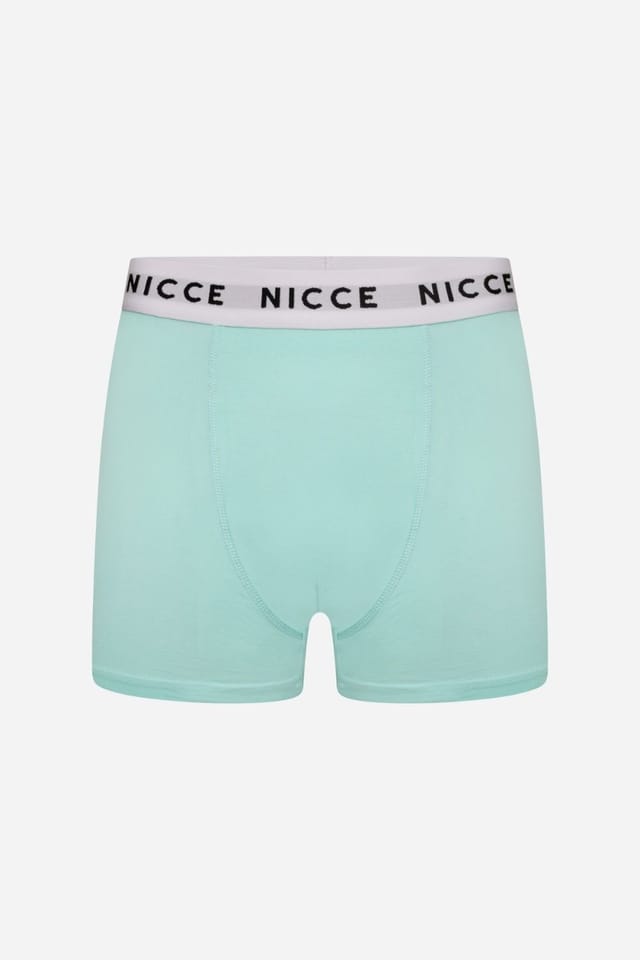Nicce Nicce Men's 5-Pack Cotton Rich Boxer Briefs with Logo Waistband in Pastel Colours - 2