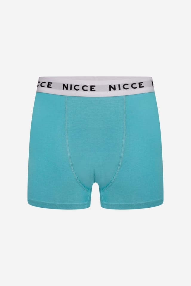 Nicce Nicce Men's 5-Pack Cotton Rich Boxer Briefs with Logo Waistband in Pastel Colours - 3