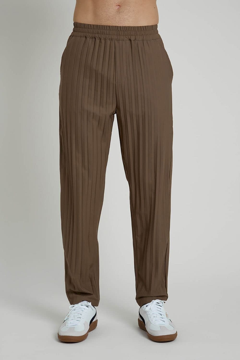 Native Youth Native Youth Men's Pleated Tapered Leg Elasticated Trousers in Taupe