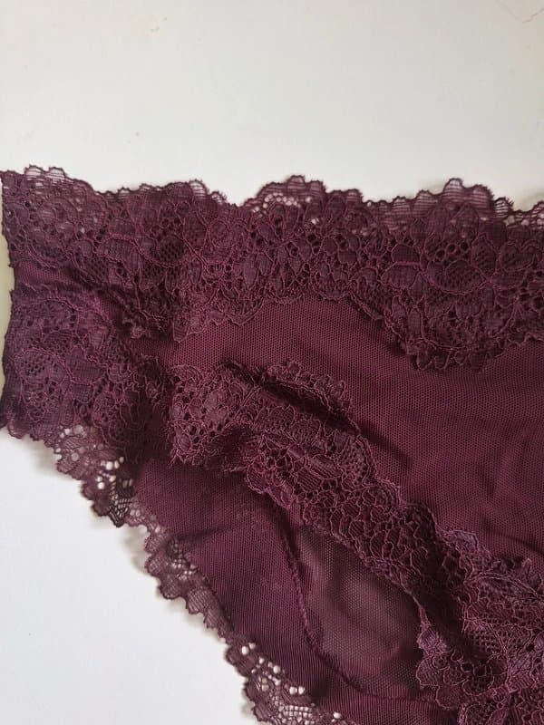 Topshop Topshop lace mesh knickers panties underwear new 8 UK burgundy